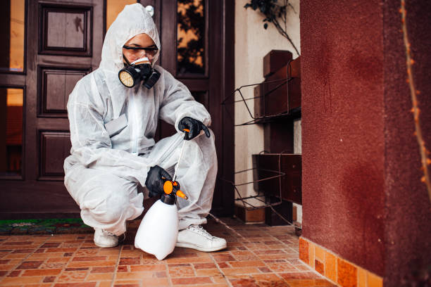 Attic and Crawl Space Rodent Treatment in Tybee Island